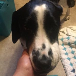 Meet your Posher, Gwen